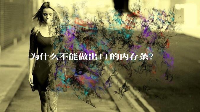为什么不能做出1T的内存条?
