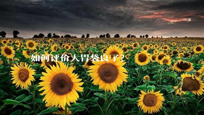 如何评价大胃袋良子?