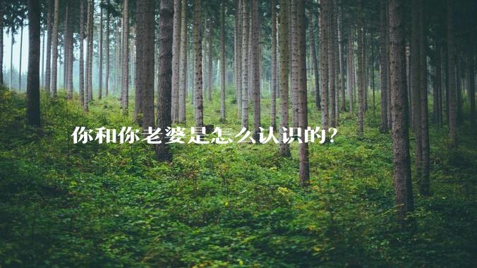 你和你老婆是怎么认识的?