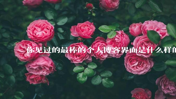 你见过的最棒的个人博客界面是什么样的?