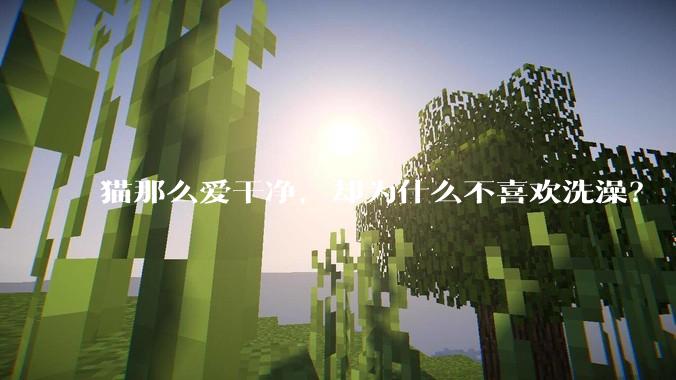 猫那么爱干净,却为什么不喜欢洗澡?