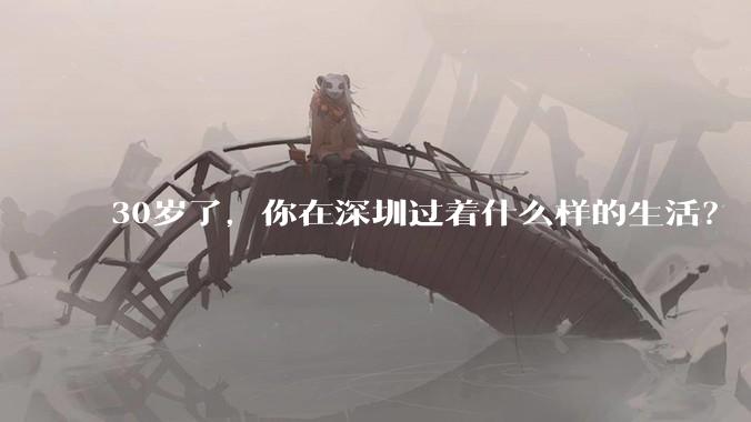 30岁了,你在深圳过着什么样的生活?