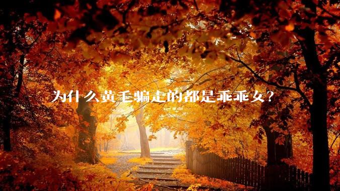 为什么黄毛骗走的都是乖乖女?
