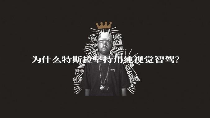 为什么特斯拉坚持用纯视觉智驾?