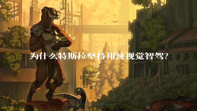 为什么特斯拉坚持用纯视觉智驾?