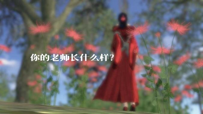 你的老师长什么样?