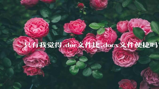 只有我觉得.doc文件比.docx文件便捷吗?