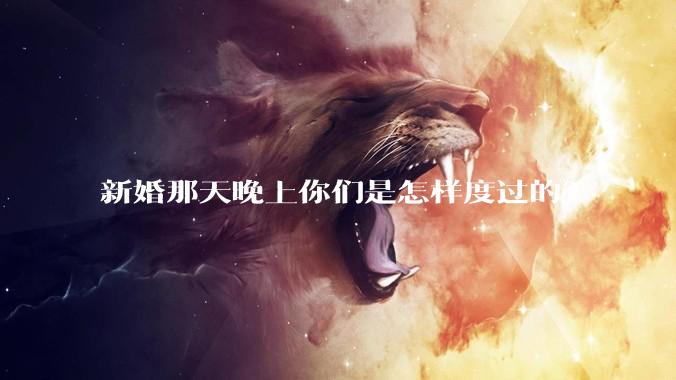 新婚那天晚上你们是怎样度过的?