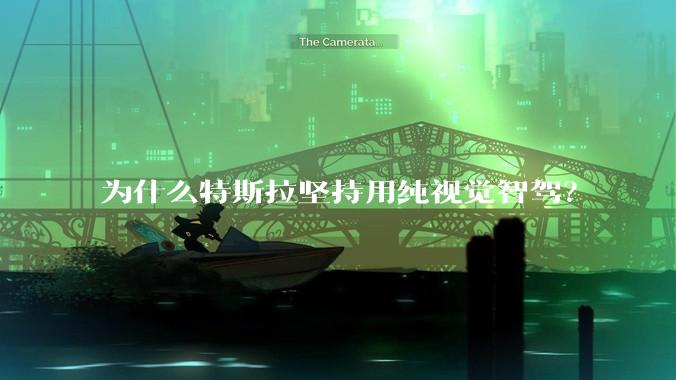 为什么特斯拉坚持用纯视觉智驾?