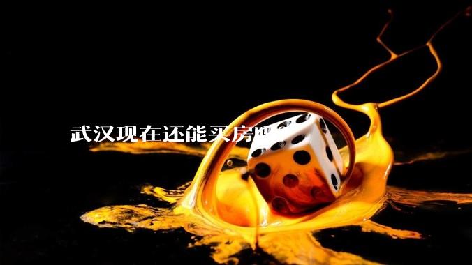 武汉现在还能买房吗?