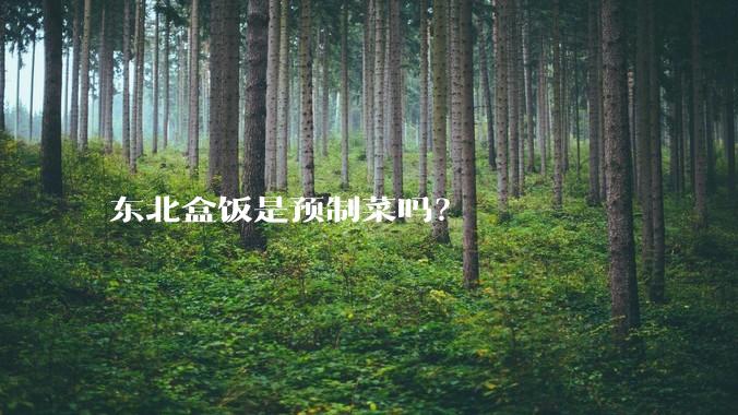东北盒饭是预制菜吗?