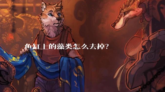 鱼缸上的藻类怎么去掉?