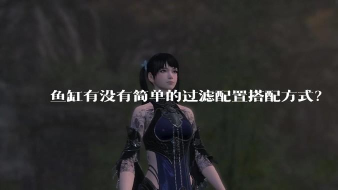 鱼缸有没有简单的过滤配置搭配方式?