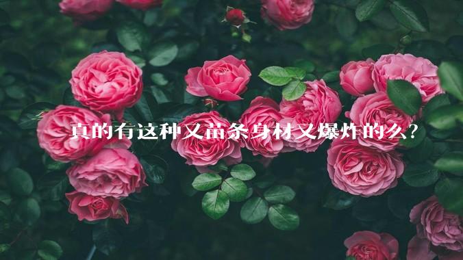 真的有这种又苗条身材又爆炸的么?