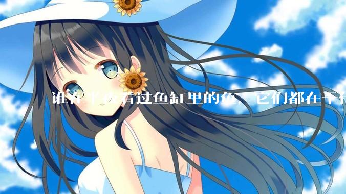 谁在半夜看过鱼缸里的鱼,它们都在干什么?