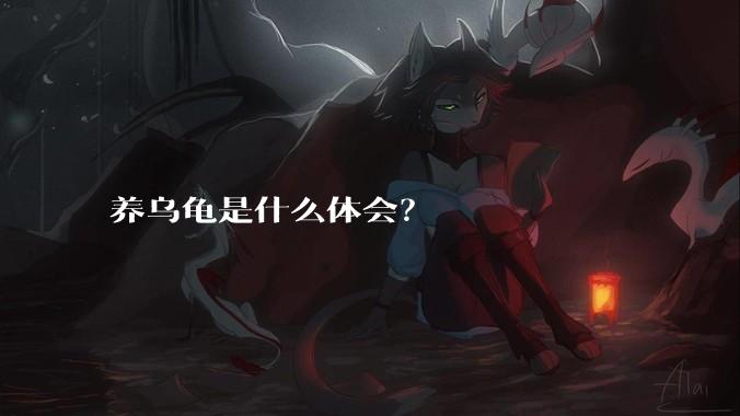 养乌龟是什么体会?