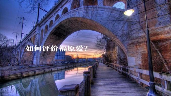 如何评价福原爱?