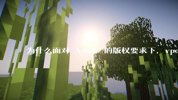 为什么面对 Adobe 的版权要求下,vposy 大神还能从容不迫?