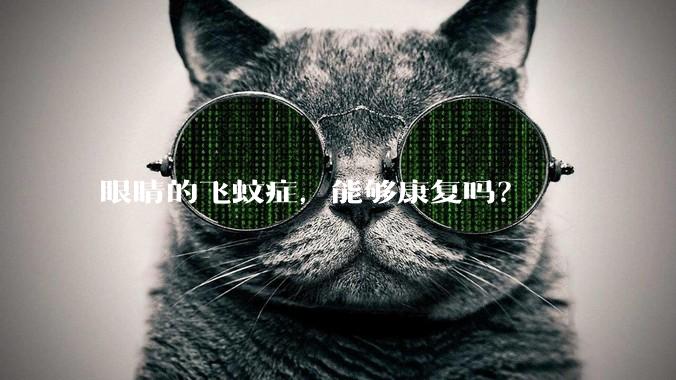 眼睛的飞蚊症,能够康复吗?