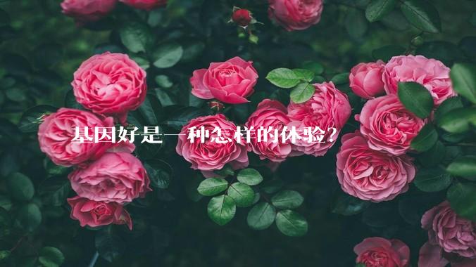 基因好是一种怎样的体验?