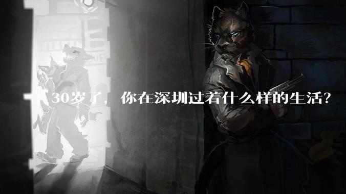 30岁了,你在深圳过着什么样的生活?