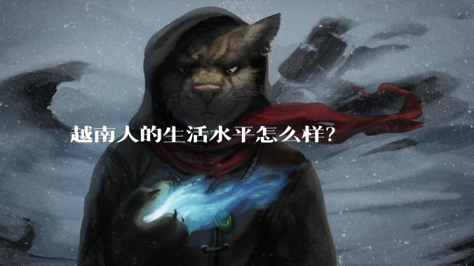 越南人的生活水平怎么样?