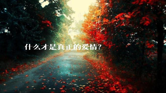 什么才是真正的爱情?