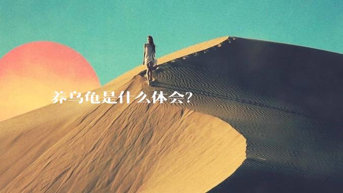 养乌龟是什么体会?