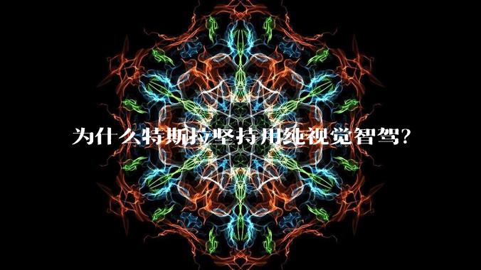 为什么特斯拉坚持用纯视觉智驾?