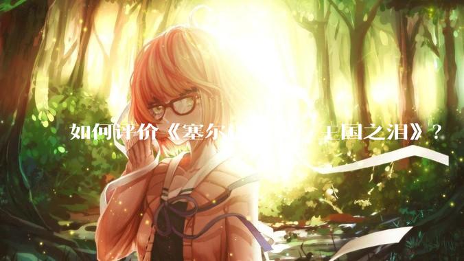 如何评价《塞尔达传说:王国之泪》?