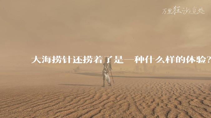 大海捞针还捞着了是一种什么样的体验?