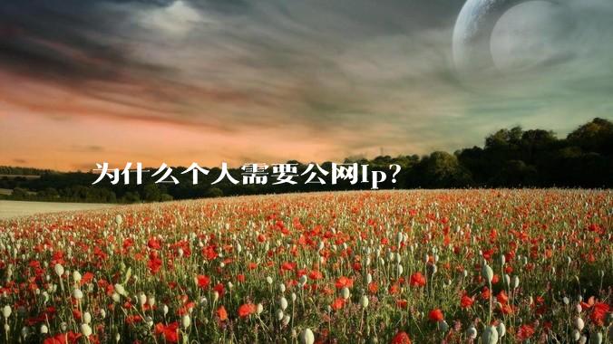 为什么个人需要公网ip?