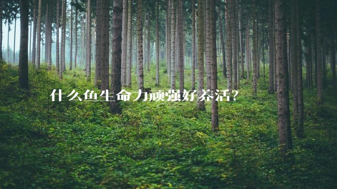 什么鱼生命力顽强好养活?