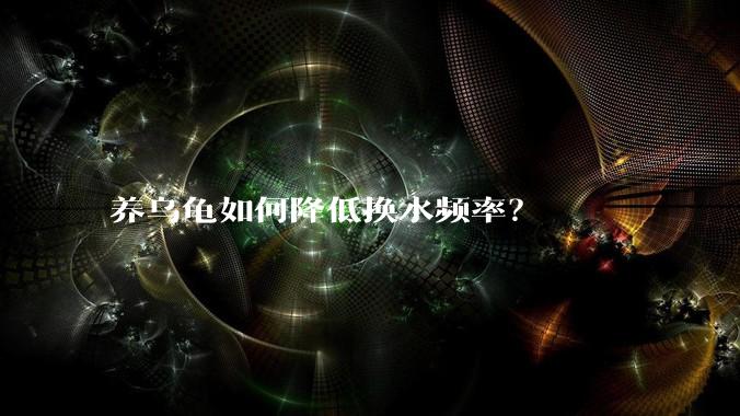养乌龟如何降低换水频率?