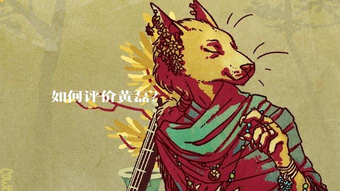 如何评价黄磊?
