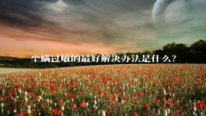 尘螨过敏的最好解决办法是什么?