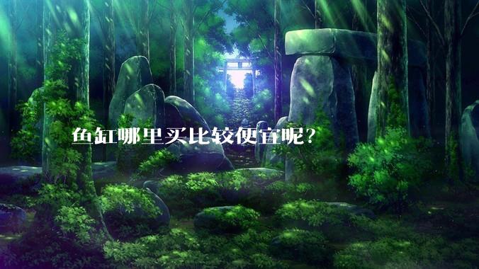 鱼缸哪里买比较便宜呢?