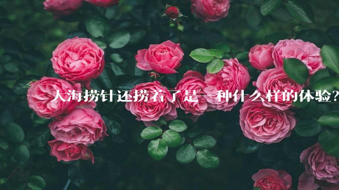 大海捞针还捞着了是一种什么样的体验?