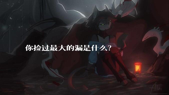 你捡过最大的漏是什么?