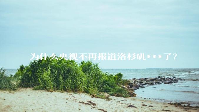为什么央视不再报道洛杉矶***了?