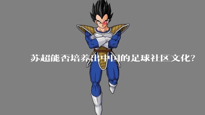 苏超能否培养出中国的足球社区文化?