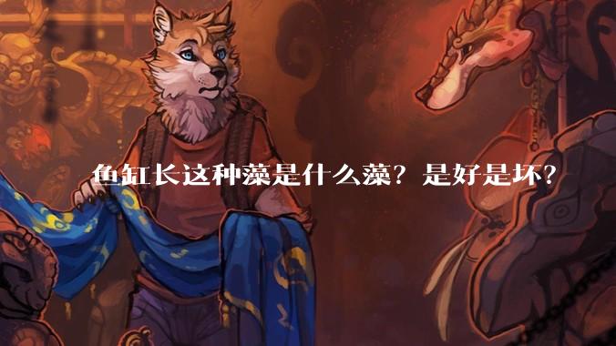 鱼缸长这种藻是什么藻?是好是坏?