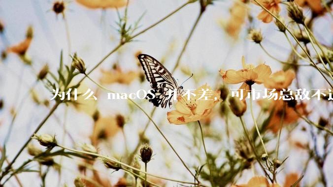 为什么 macOS 并不差,可市场总敌不过 Windows?
