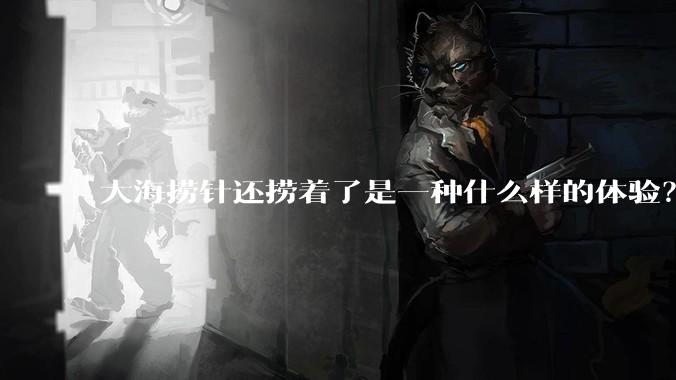 大海捞针还捞着了是一种什么样的体验?