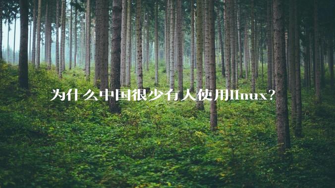 为什么中国很少有人使用linux?