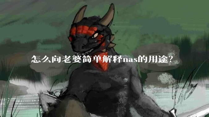 怎么向老婆简单解释nas的用途?