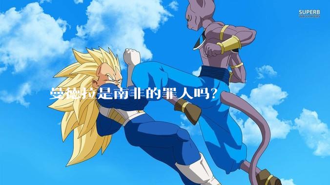 曼德拉是南非的罪人吗?