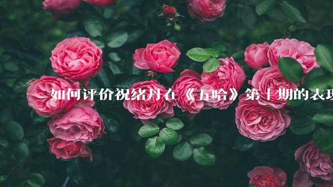 如何评价祝绪丹在《五哈》第十期的表现?