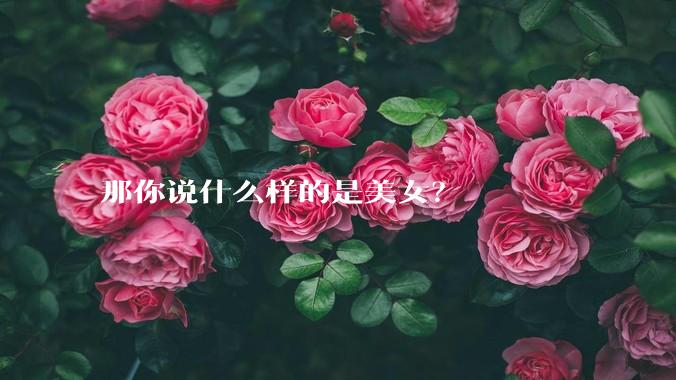 那你说什么样的是美女?