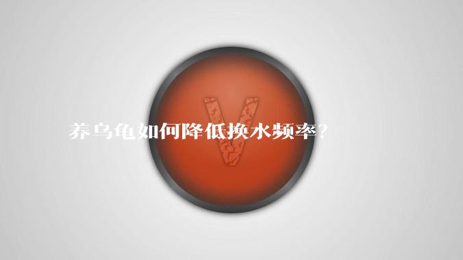 养乌龟如何降低换水频率?